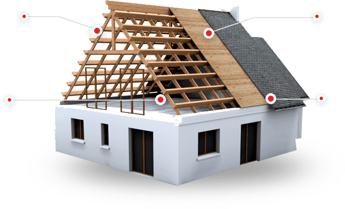Roof inspection illustration
